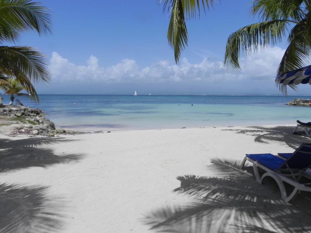 Appartement Bord De Mer Tres Fonctionnel , Sur La Plage & Vue Mer Exceptionnelle Le Gosier  Kamer foto